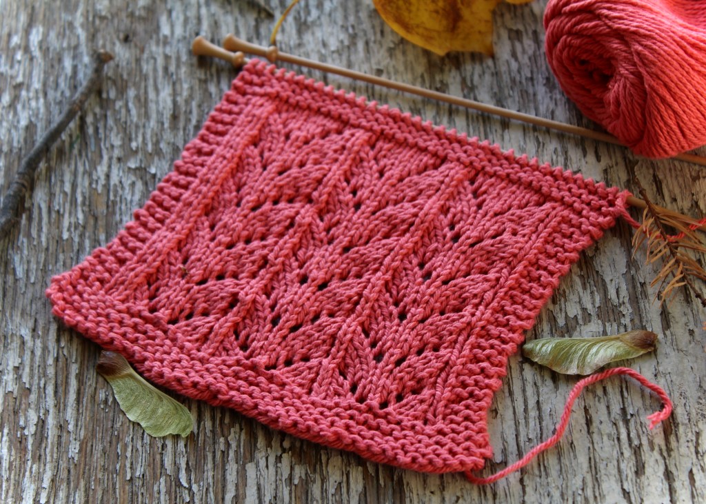 DCOTD (dish cloth of the day): Ricochet&nbsp;Lace