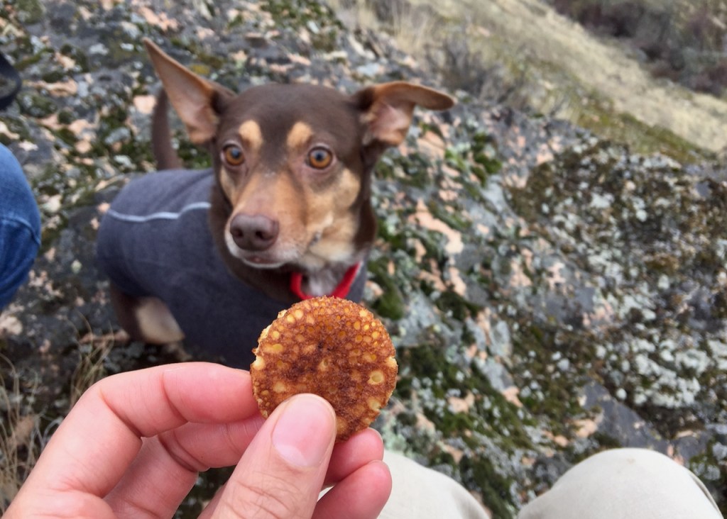 Tiny Buttermilk Pancakes in The&nbsp;Wild